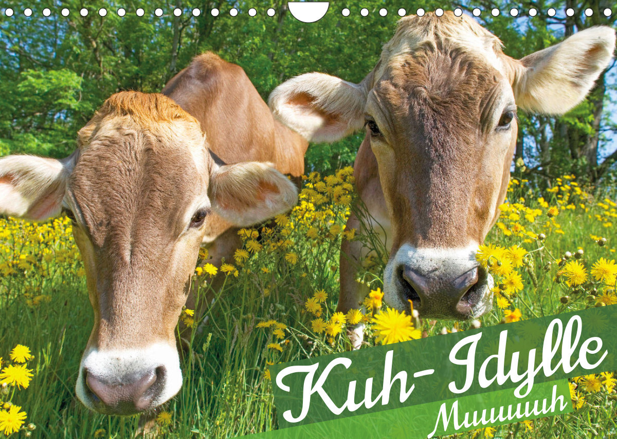 Kuh-Idylle: Muuuuuh (Wandkalender 2022 DIN A4 quer)