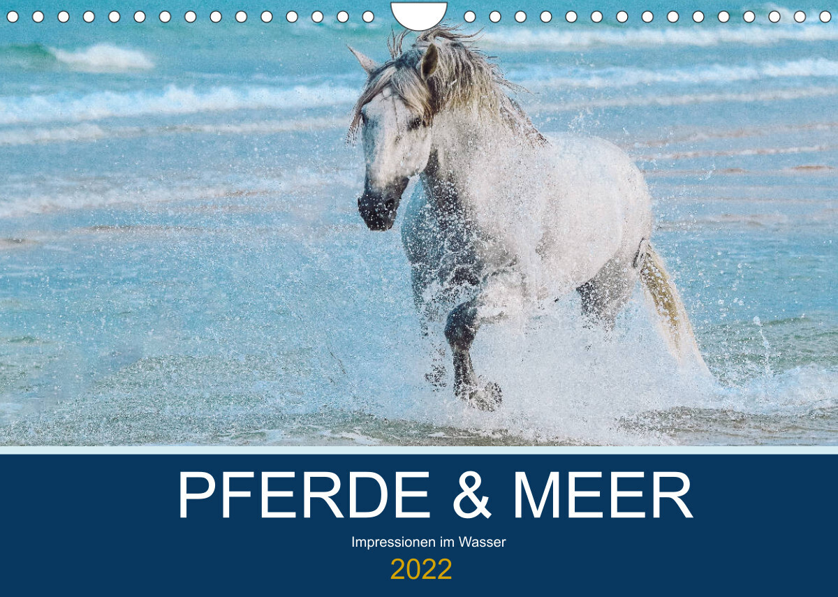 PFERDE & MEER (Wandkalender 2022 DIN A4 quer)