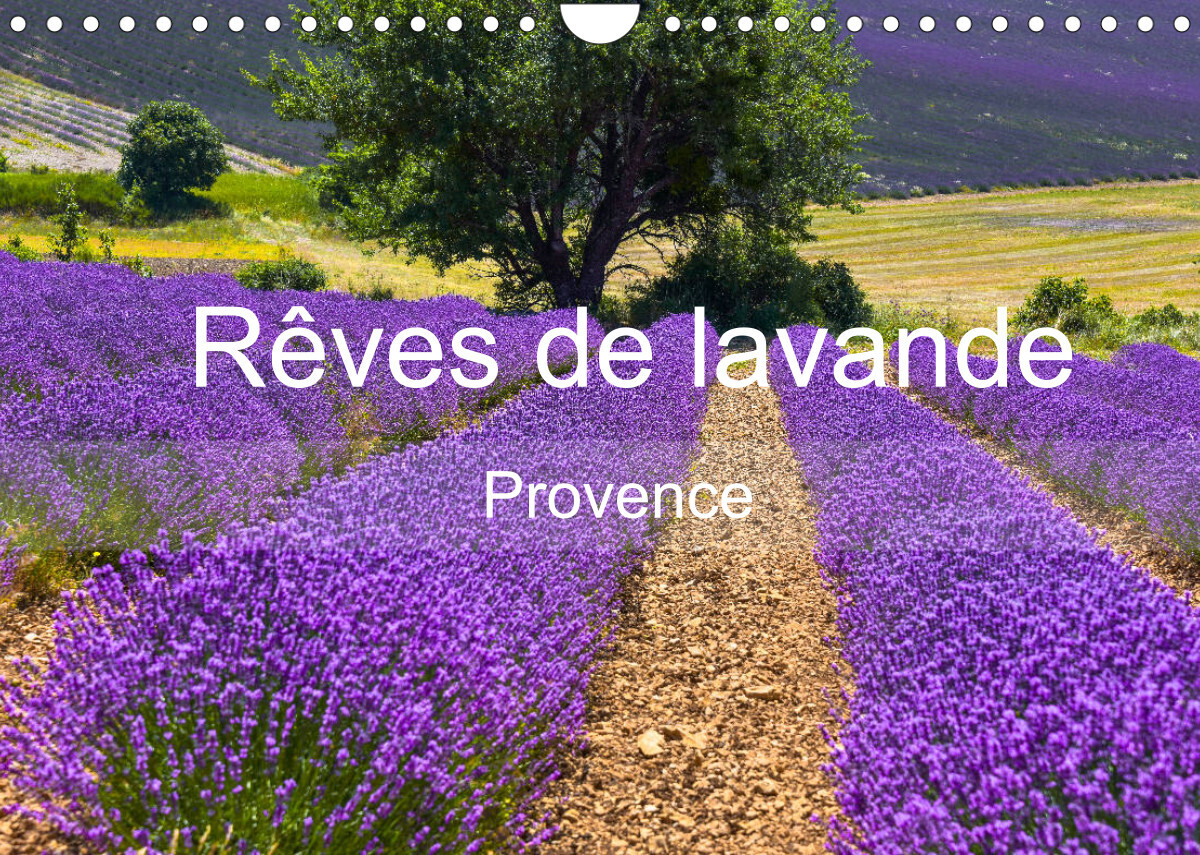 Rêves de lavande - Provence (Calendrier mural 2022 DIN A4 horizontal)