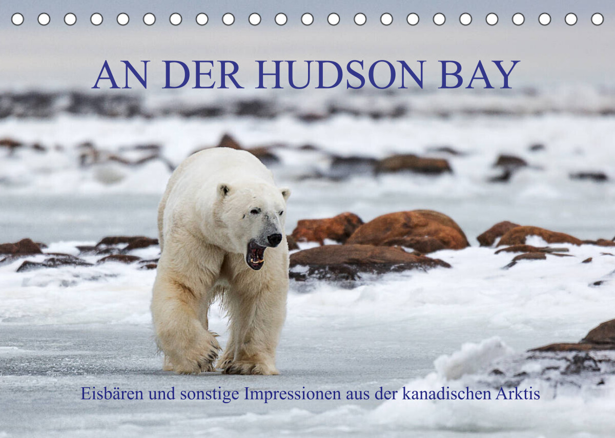 AN DER HUDSON BAY (Tischkalender 2022 DIN A5 quer)