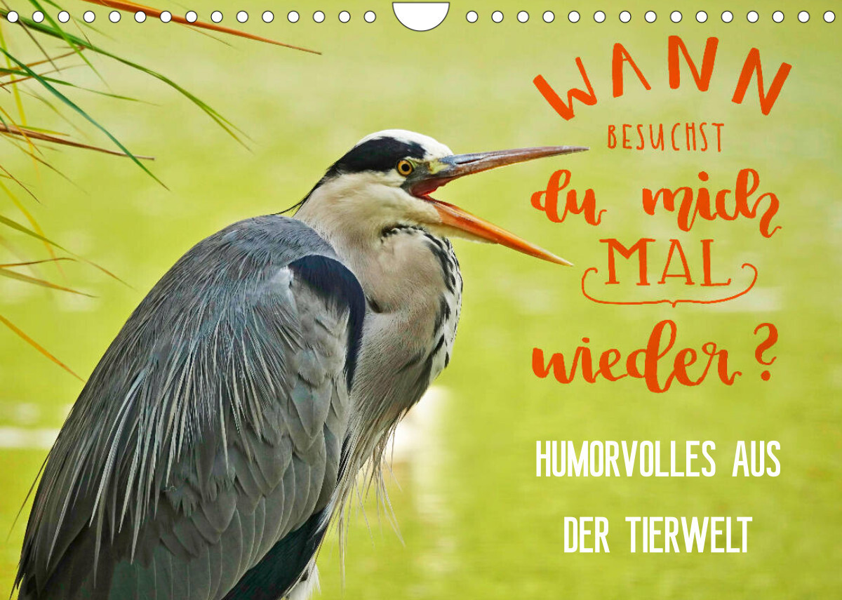 Humorvolles aus der Tierwelt (Wandkalender 2022 DIN A4 quer)