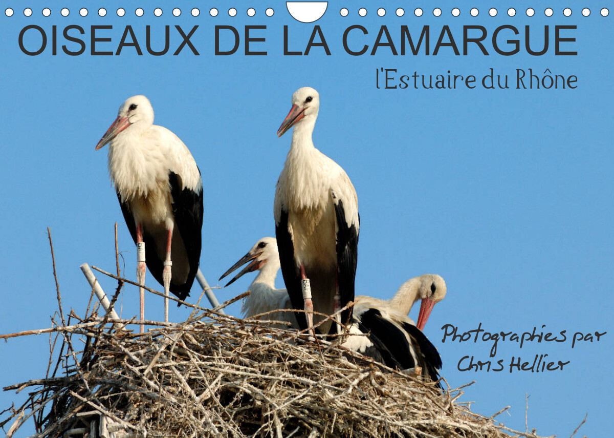 Oiseaux de la Camargue: l'Estuaire du Rhône (Calendrier mural 2022 DIN A4 horizontal)