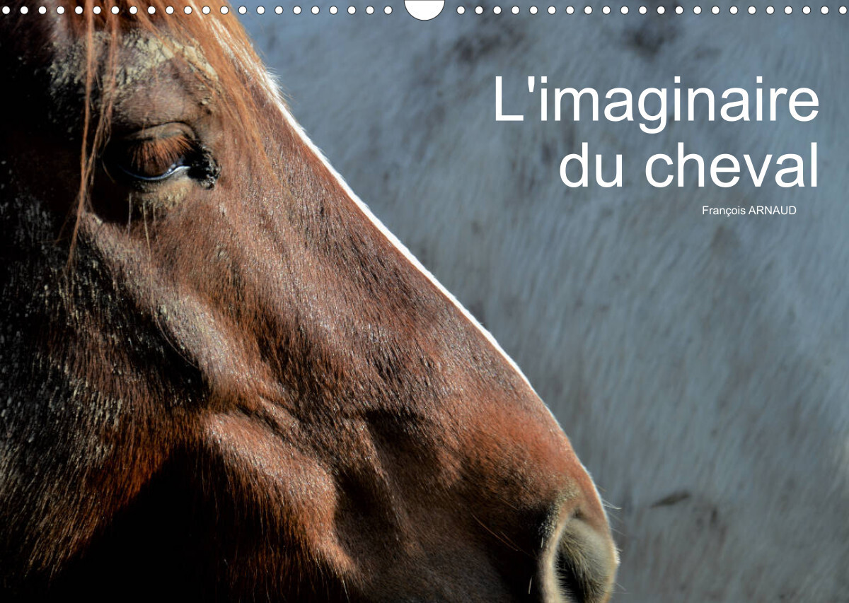L'imaginaire du cheval (Calendrier mural 2022 DIN A3 horizontal)