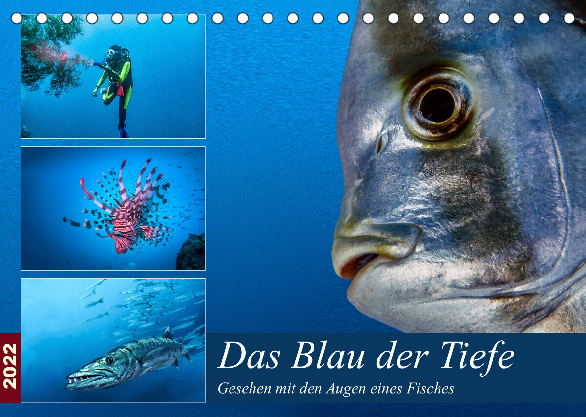Das Blau der Tiefe (Tischkalender 2022 DIN A5 quer)