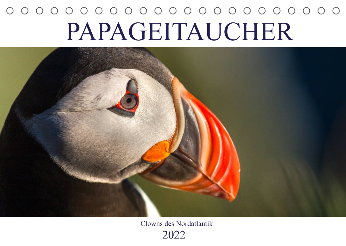 Papageitaucher: Clowns des Nordatlantik (Tischkalender 2022 DIN A5 quer)