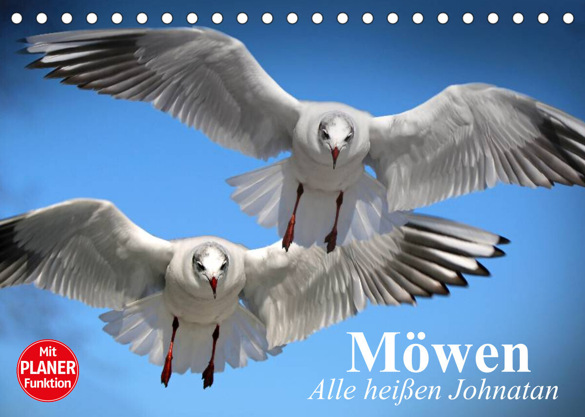 Möwen. Alle heißen Johnatan (Tischkalender 2022 DIN A5 quer)