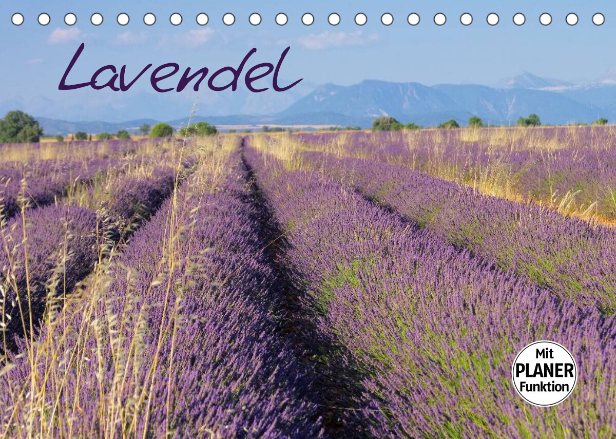 Lavendel (Tischkalender 2022 DIN A5 quer)