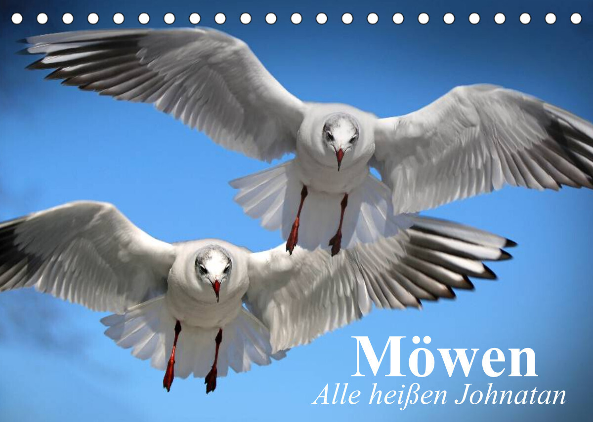 Möwen. Alle heißen Johnatan (Tischkalender 2022 DIN A5 quer)