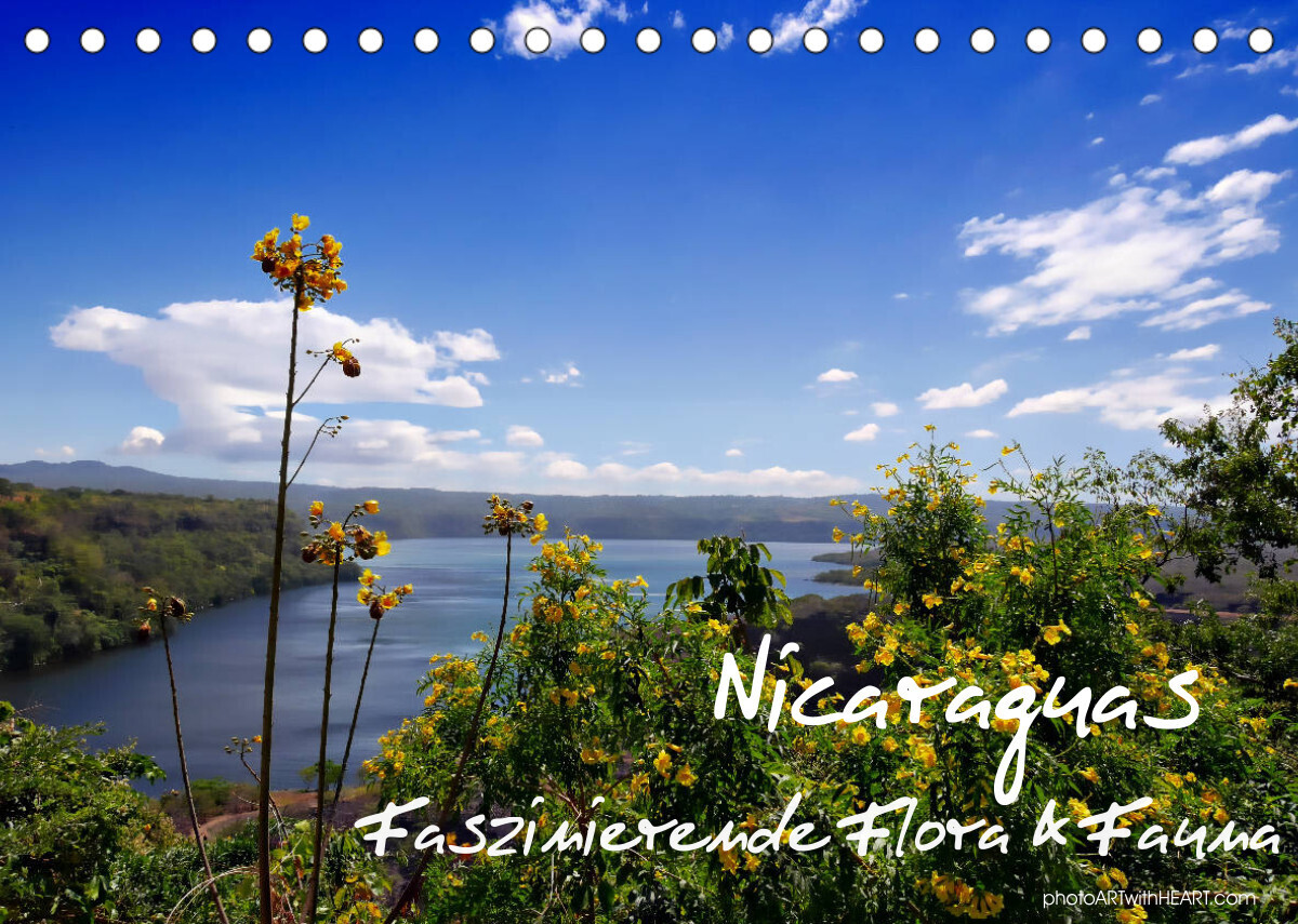 Nicaraguas faszinierende Flora & Fauna (Tischkalender 2022 DIN A5 quer)