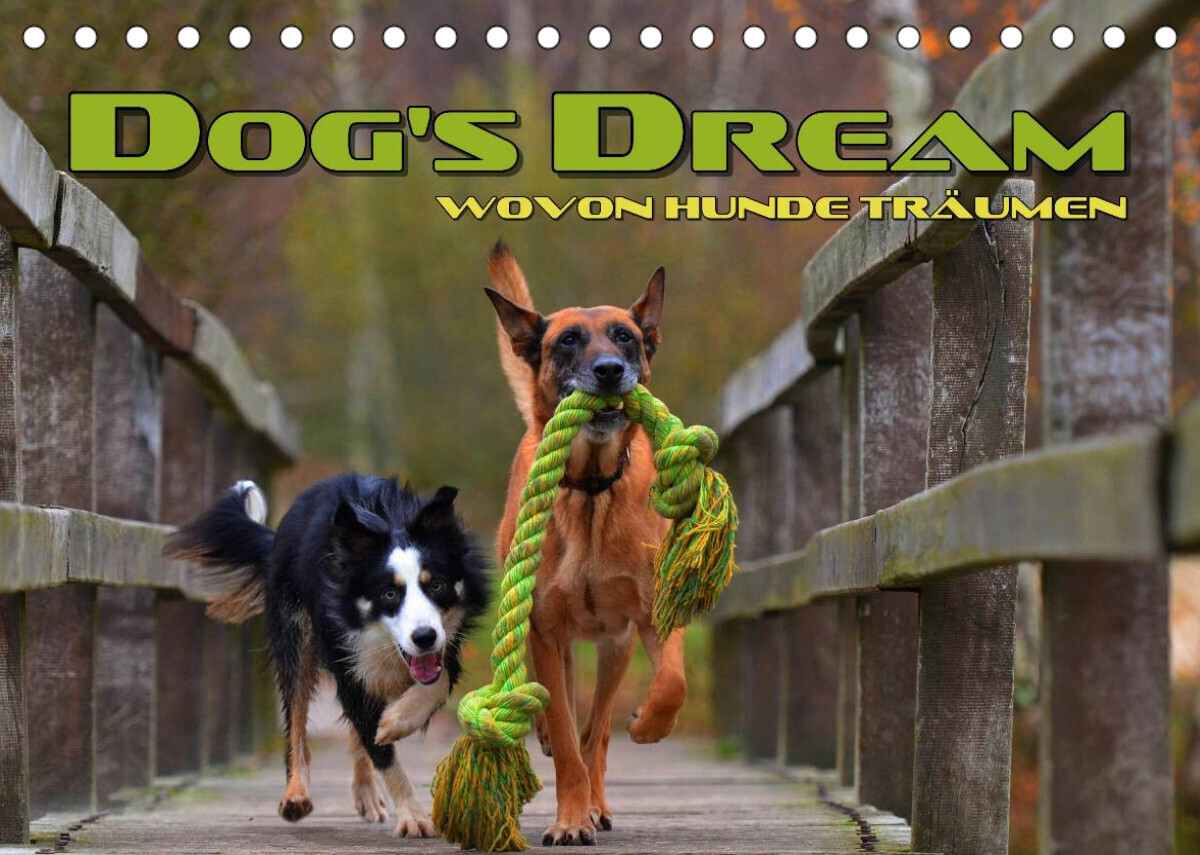 DOG'S DREAM - wovon Hunde träumen (Tischkalender 2022 DIN A5 quer)