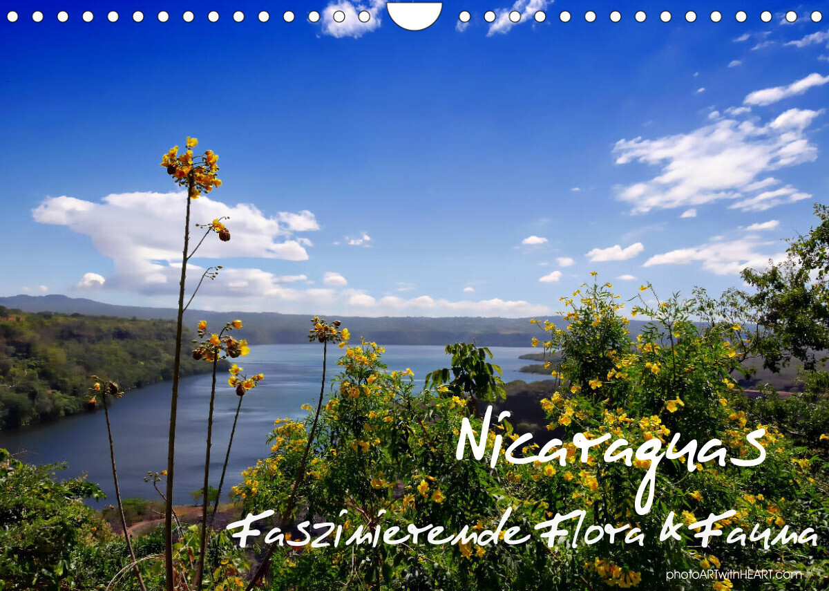 Nicaraguas faszinierende Flora & Fauna (Wandkalender 2022 DIN A4 quer)