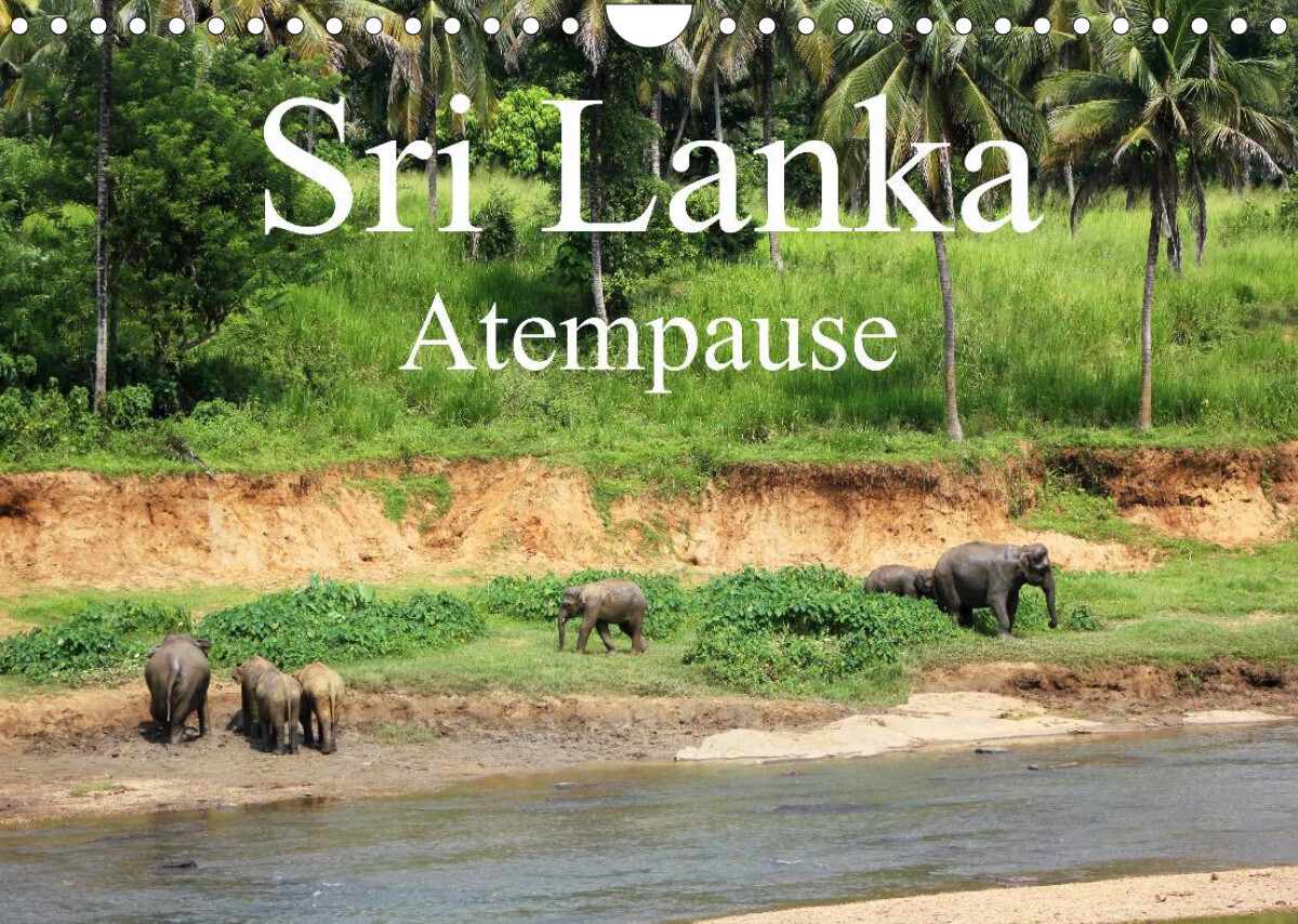 Sri Lanka Atempause (Wandkalender 2022 DIN A4 quer)