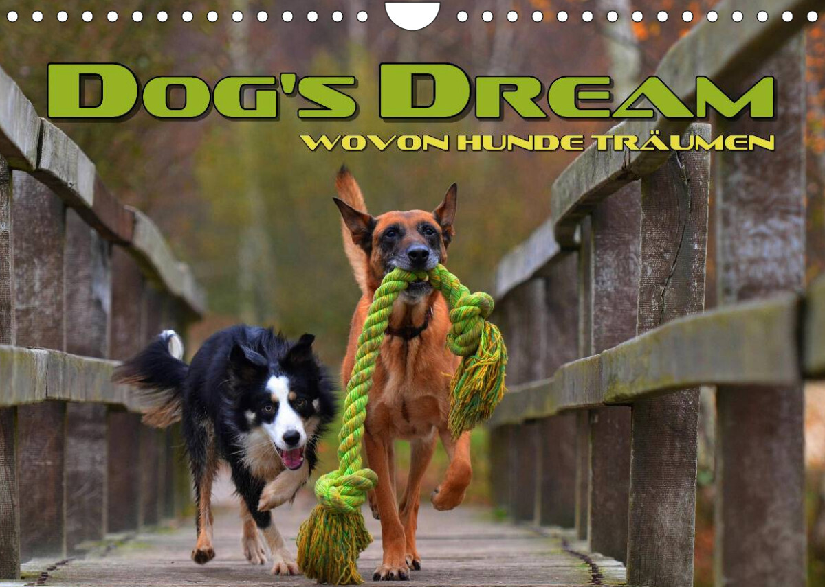 DOG'S DREAM - wovon Hunde träumen (Wandkalender 2022 DIN A4 quer)