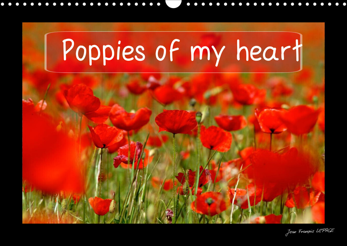 Poppies of my heart (Wall Calendar 2022 DIN A3 Landscape)