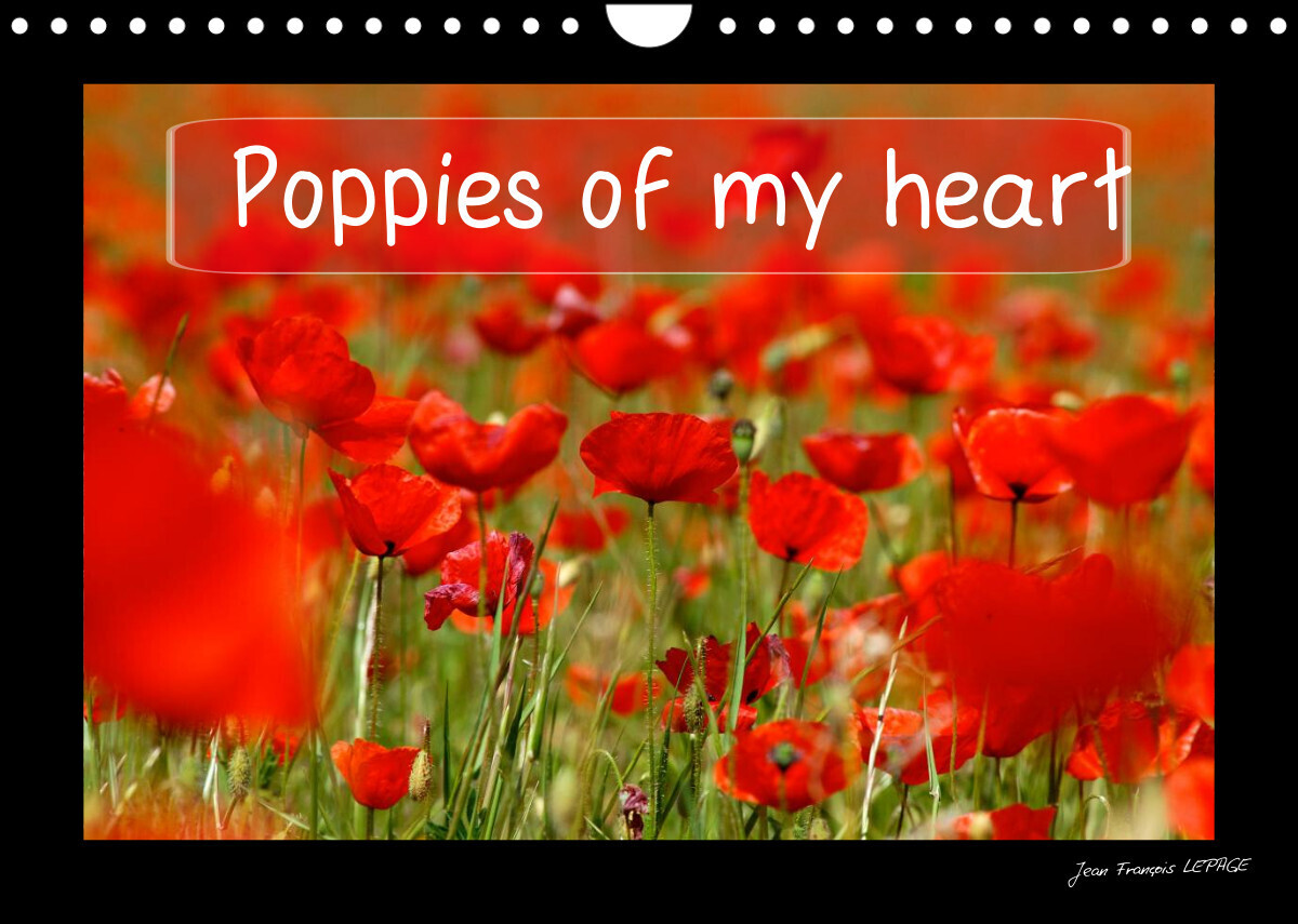 Poppies of my heart (Wall Calendar 2022 DIN A4 Landscape)