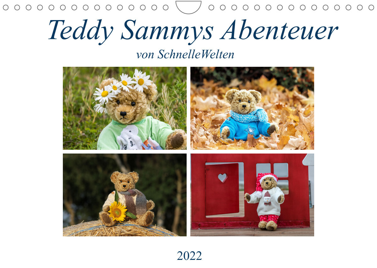Teddy Sammys Abenteuer (Wandkalender 2022 DIN A4 quer)