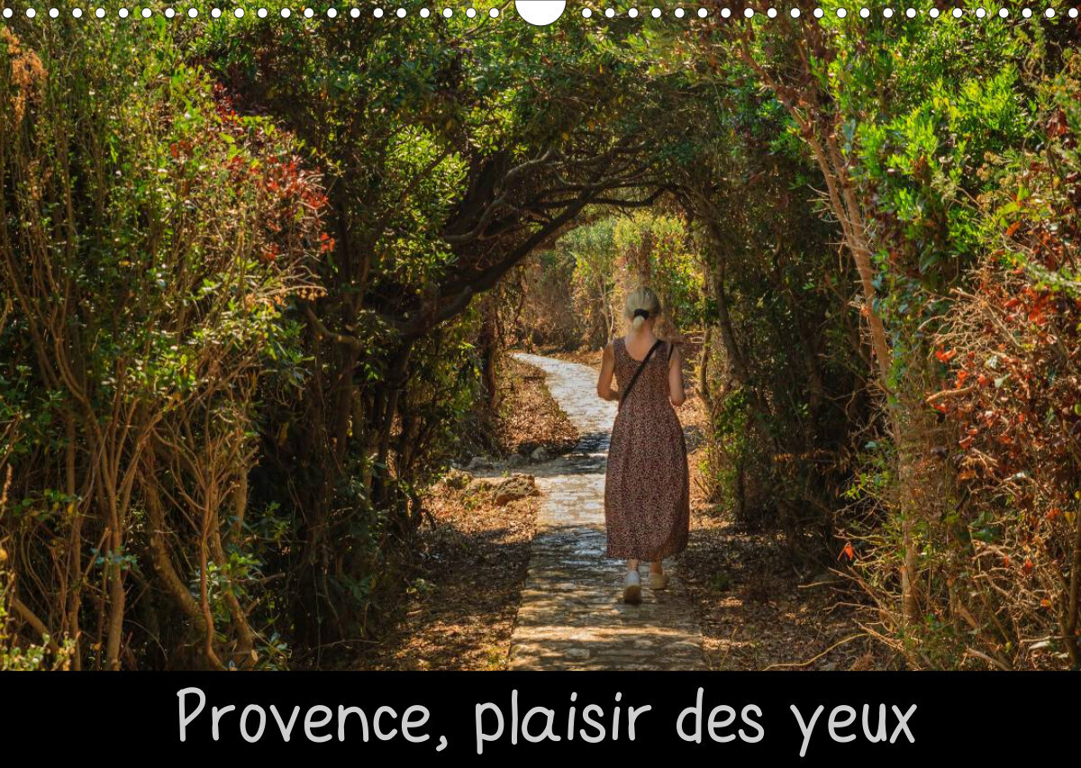 Provence, plaisir des yeux (Calendrier mural 2022 DIN A3 horizontal)