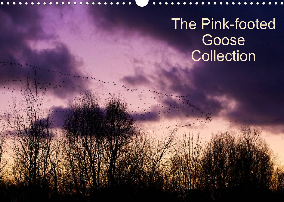 The Pinkfoot Goose Collection (Wall Calendar 2022 DIN A3 Landscape)