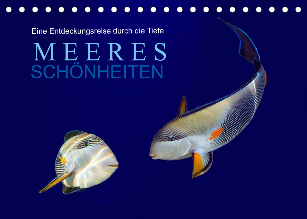 Meeres Schönheiten (Tischkalender 2022 DIN A5 quer)