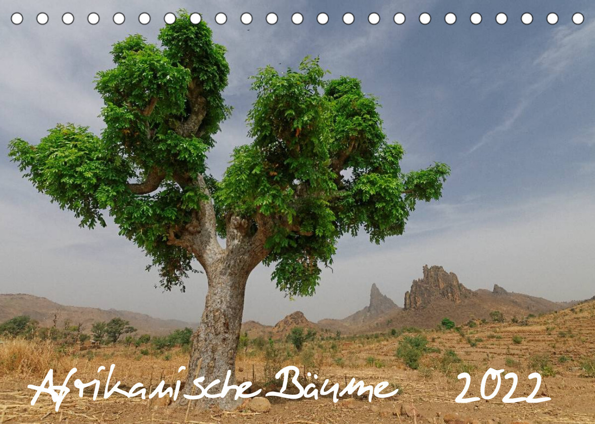 Afrikanische Bäume (Tischkalender 2022 DIN A5 quer)