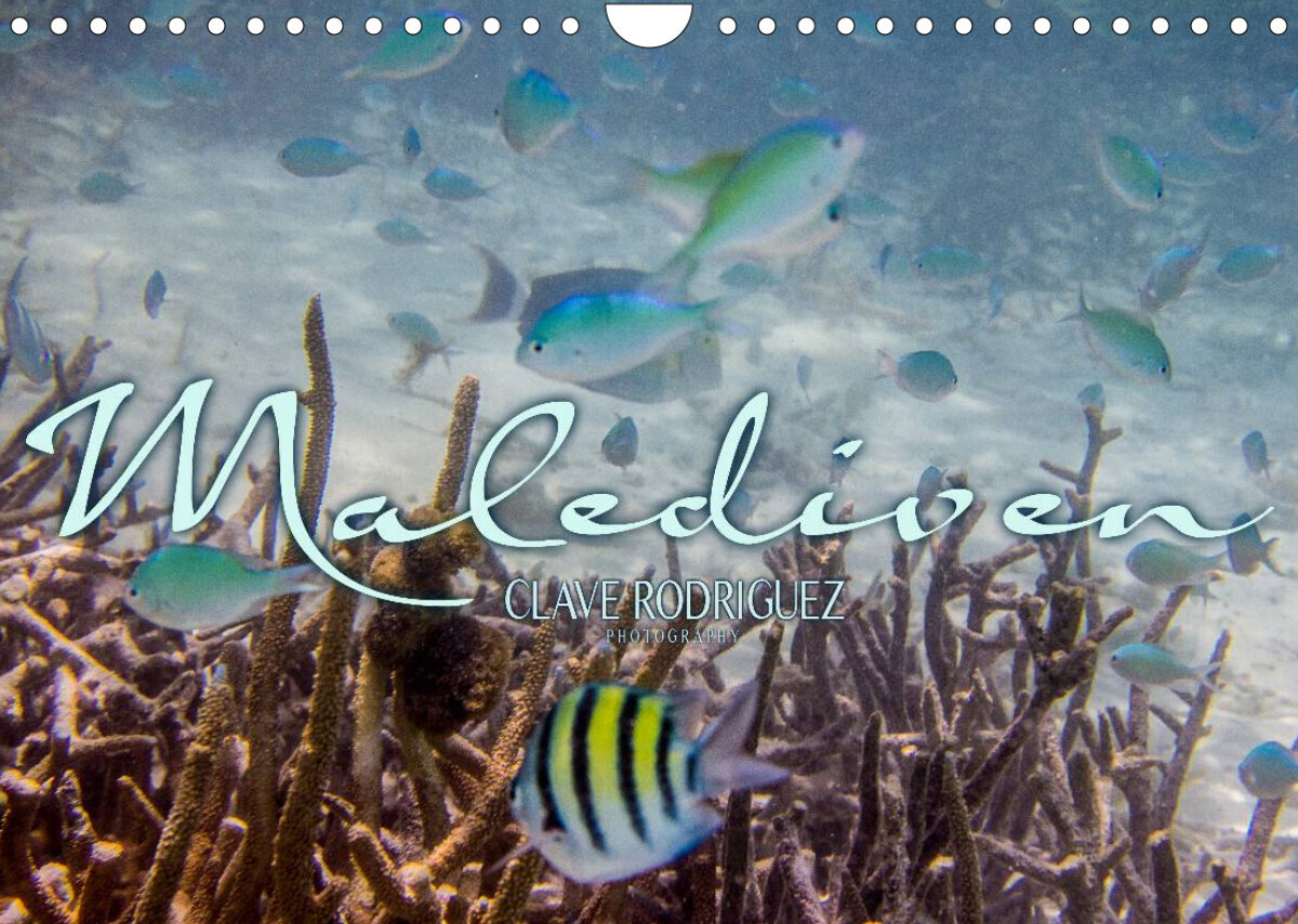 Unterwasserwelt der Malediven III (Wandkalender 2022 DIN A4 quer)