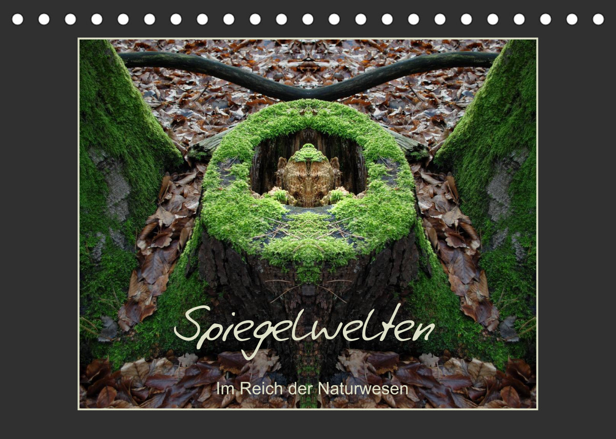 Spiegelwelten - Im Reich der Naturwesen (Tischkalender 2022 DIN A5 quer)