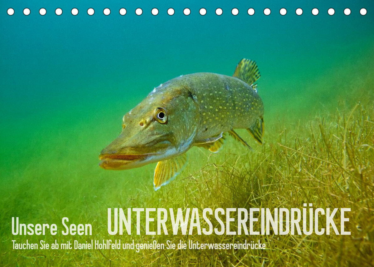 Unsere Seen (Tischkalender 2022 DIN A5 quer)