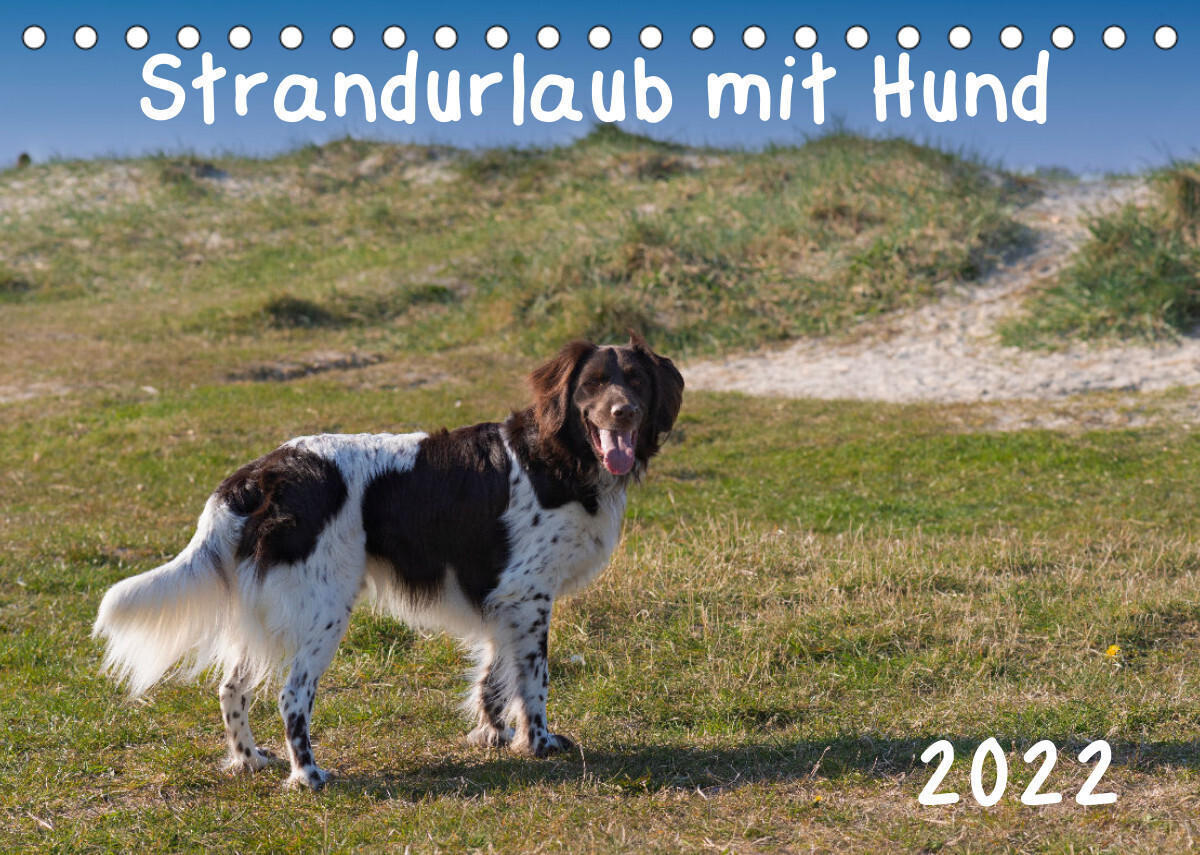 Strandurlaub mit Hund (Tischkalender 2022 DIN A5 quer)
