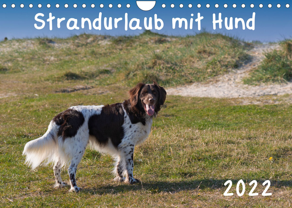Strandurlaub mit Hund (Wandkalender 2022 DIN A4 quer)