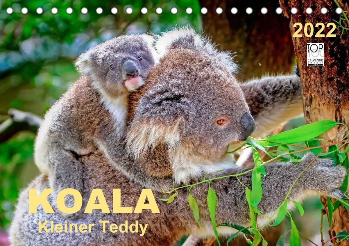 Koala - kleiner Teddy (Tischkalender 2022 DIN A5 quer)