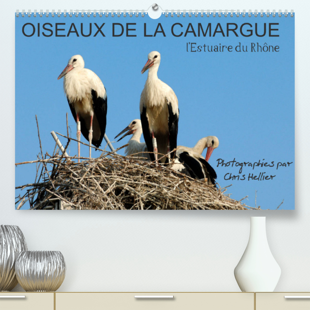 Oiseaux de la Camargue: l'Estuaire du Rhône (Premium, hochwertiger DIN A2 Wandkalender 2022, Kunstdruck in Hochglanz)