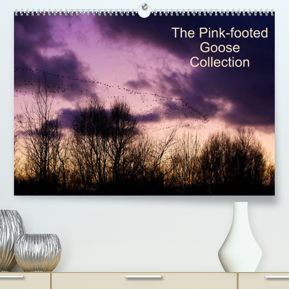 The Pinkfoot Goose Collection (Premium, hochwertiger DIN A2 Wandkalender 2022, Kunstdruck in Hochglanz)