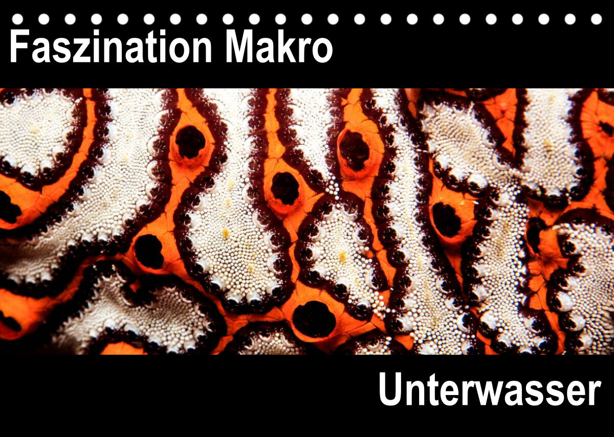Faszination Makro UnterwasserCH-Version  (Tischkalender 2022 DIN A5 quer)