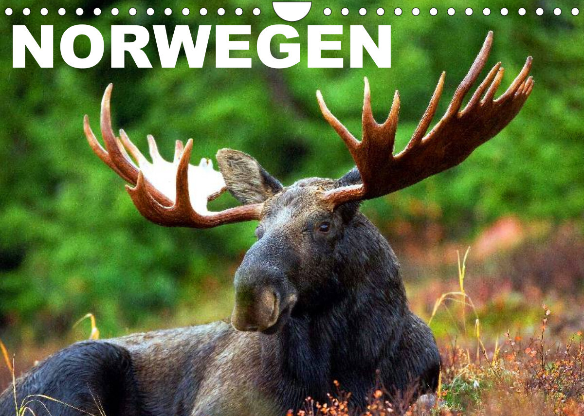 Norwegen (Wandkalender 2022 DIN A4 quer)