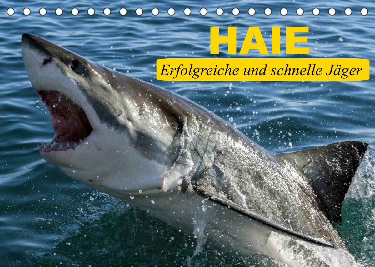 Haie. Erfolgreiche und schnelle Jäger (Tischkalender 2022 DIN A5 quer)