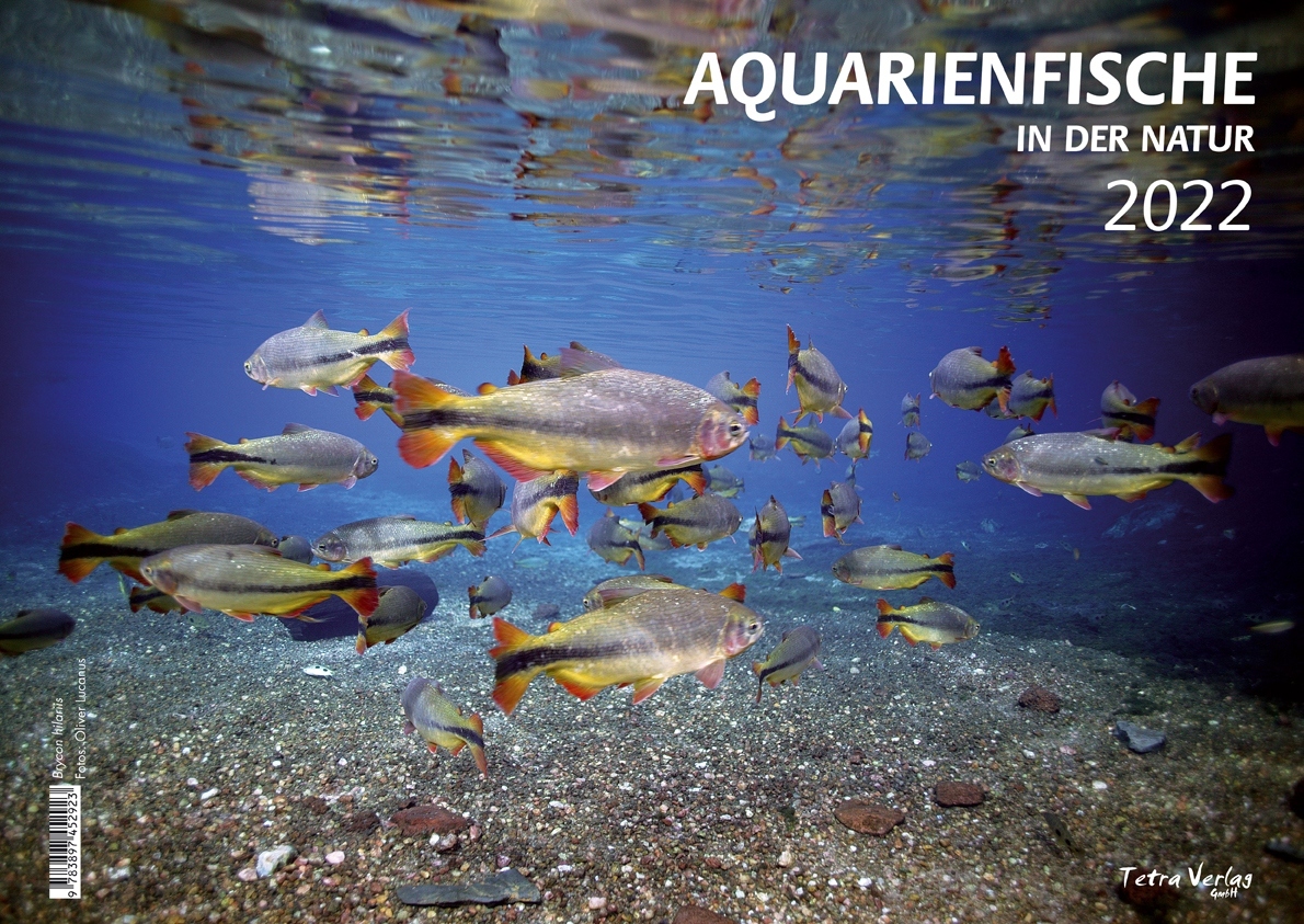 Kalender Aquarienfische (in der Natur) 2022