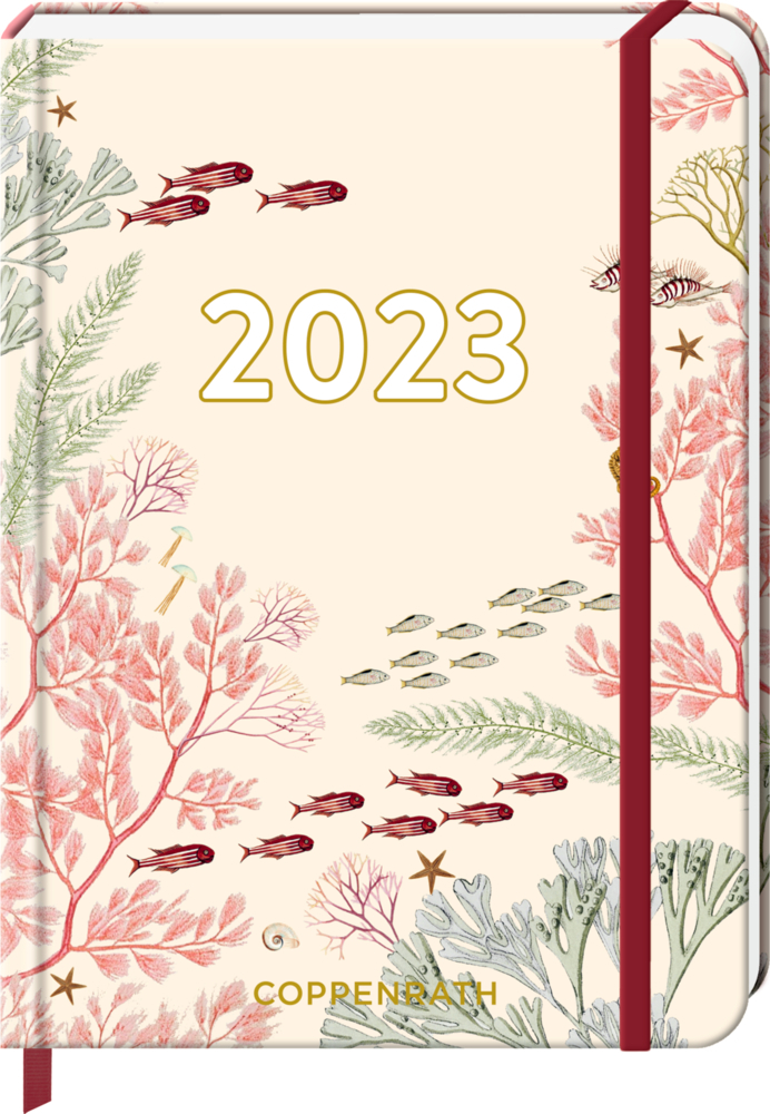 Mein Jahr 2023 - Korallen (I love my Ocean)