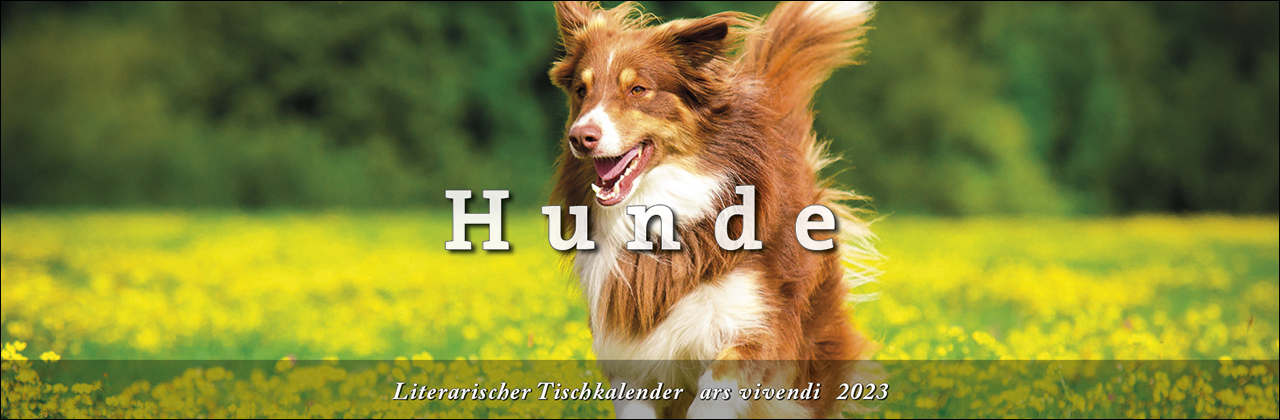 Tischkalender Hunde 2023
