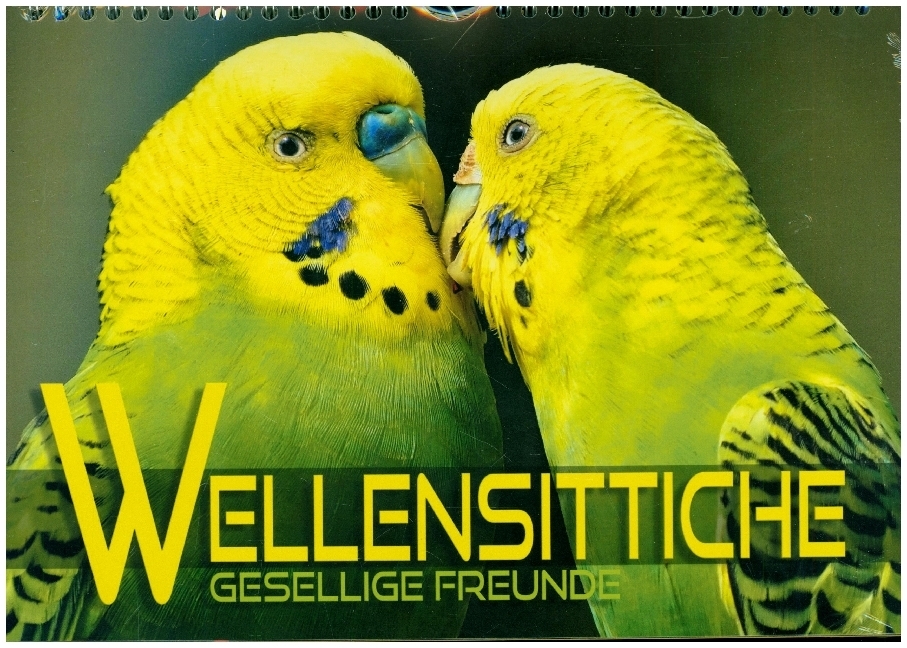 Wellensittiche - gesellige Freunde (Wandkalender 2022 DIN A4 quer)