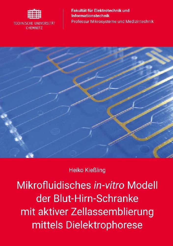 Mikrofluidisches in-vitro Modell der Blut-Hirn-Schranke mit aktiver Zellassemblierung mittels Dielektrophorese