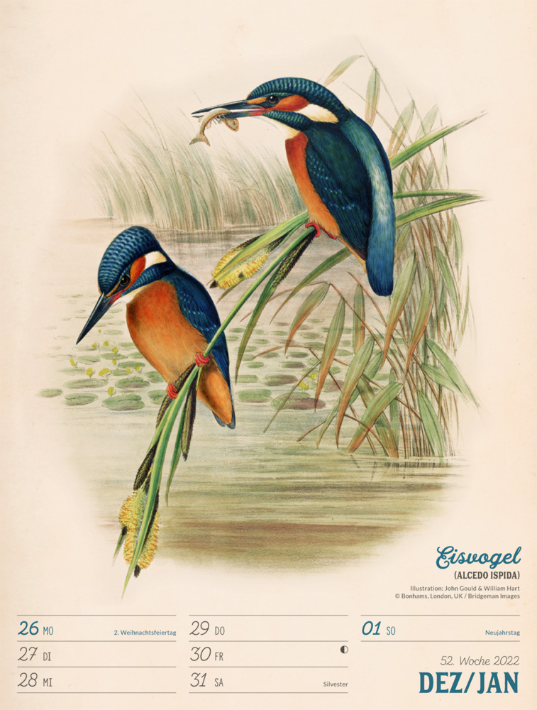 Wunderbare Vogelwelt - Wochenplaner Kalender 2023
