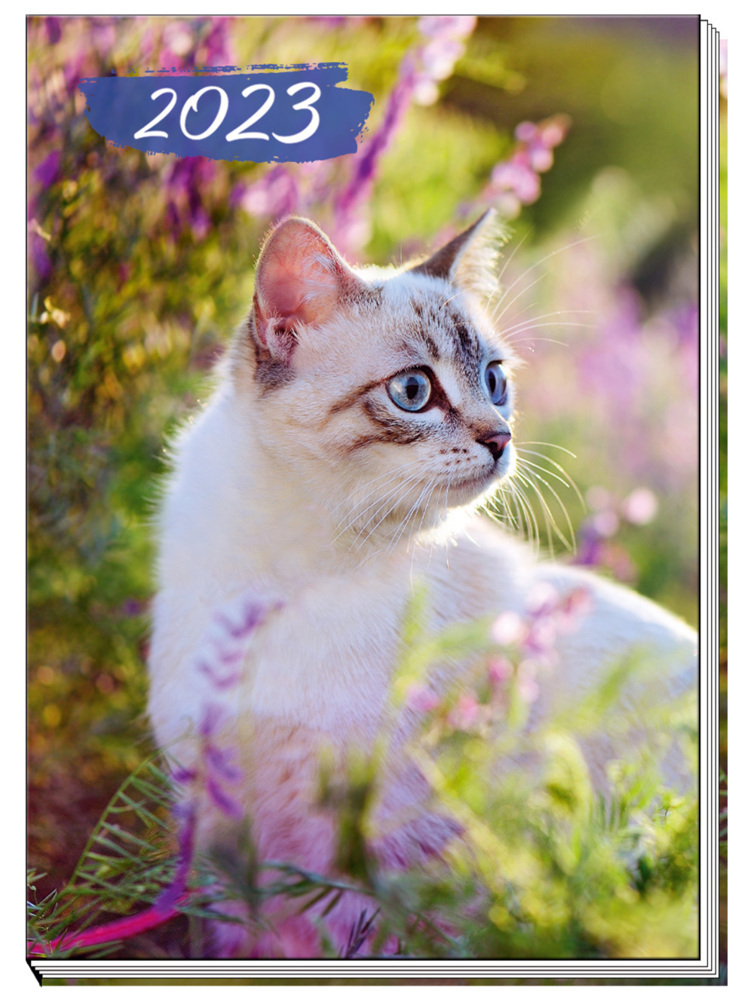 Trötsch Taschenkalender A7 Katze 2023