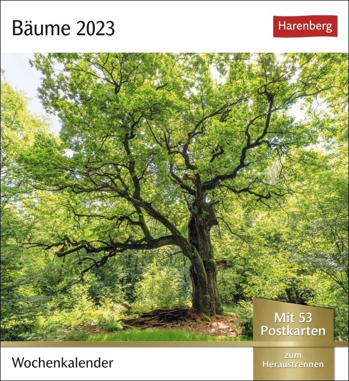 Bäume Postkartenkalender 2023. Fotokalender mit 53 Postkarten zum Sammeln und Verschicken. Dekorative Baum-Aufnahmen von bekannten Fotografen. Kleiner Tischkalender 2023.