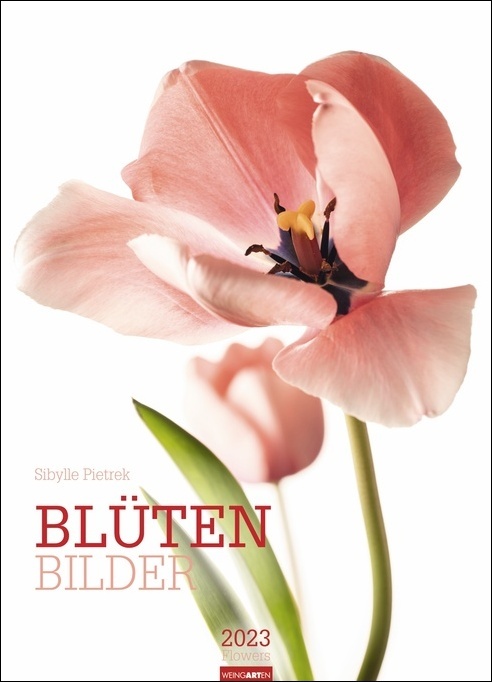 Blütenbilder Kalender 2023. Großer Jahres-Wandkalender mit stilvollen Fotos prachtvoller Blüten. Blumen-Kalender XXL für die Wand. 49x68 cm. Hochformat