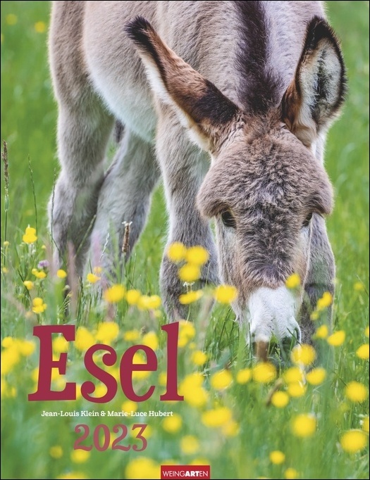 Esel-Kalender 2023. Jahres-Wandkalender 2023 mit Fotos von Jean-Louis Klein und Marie-Luce Hubert. Tierkalender mit süßen Eselfotos. Planer mit Platz zum Eintragen. Hochformat 30x39 cm