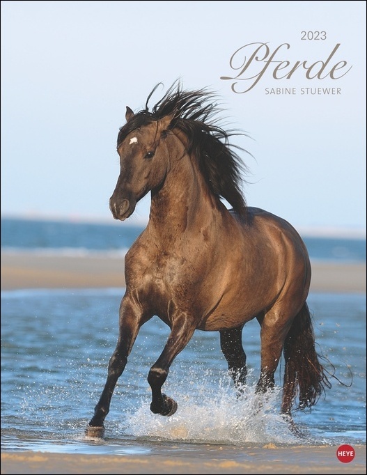 Pferde Classics Posterkalender 2023. Die Eleganz der Tiere in einem Kalender-Großformat eingefangen von Sabine Stuewer. Hochwertiger Fotokalender für Pferdefreunde.