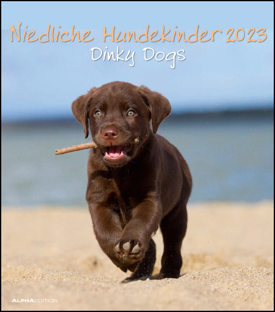 Niedliche Hundekinder 2023 - Wand-Kalender - Tier-Kalender - 30x34