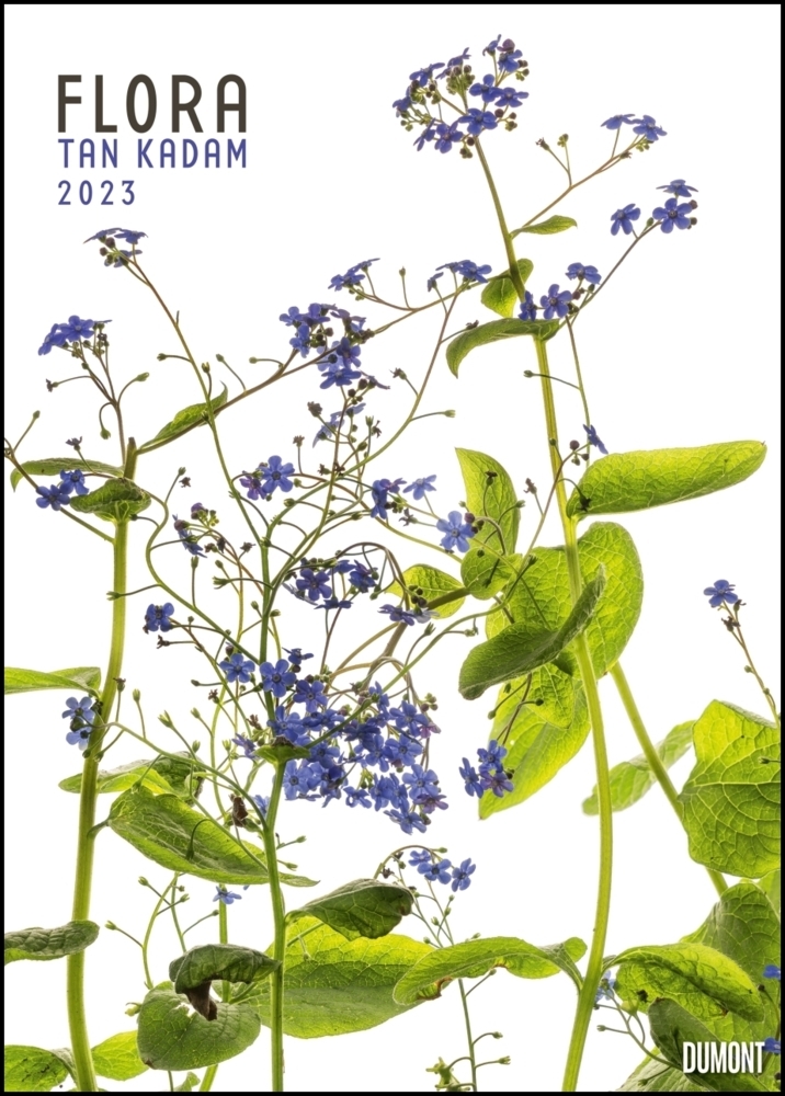 Flora 2023 - Blumen-Kalender von DUMONT- Foto-Kunst von Tan Kadam - Poster-Format 50 x 70 cm