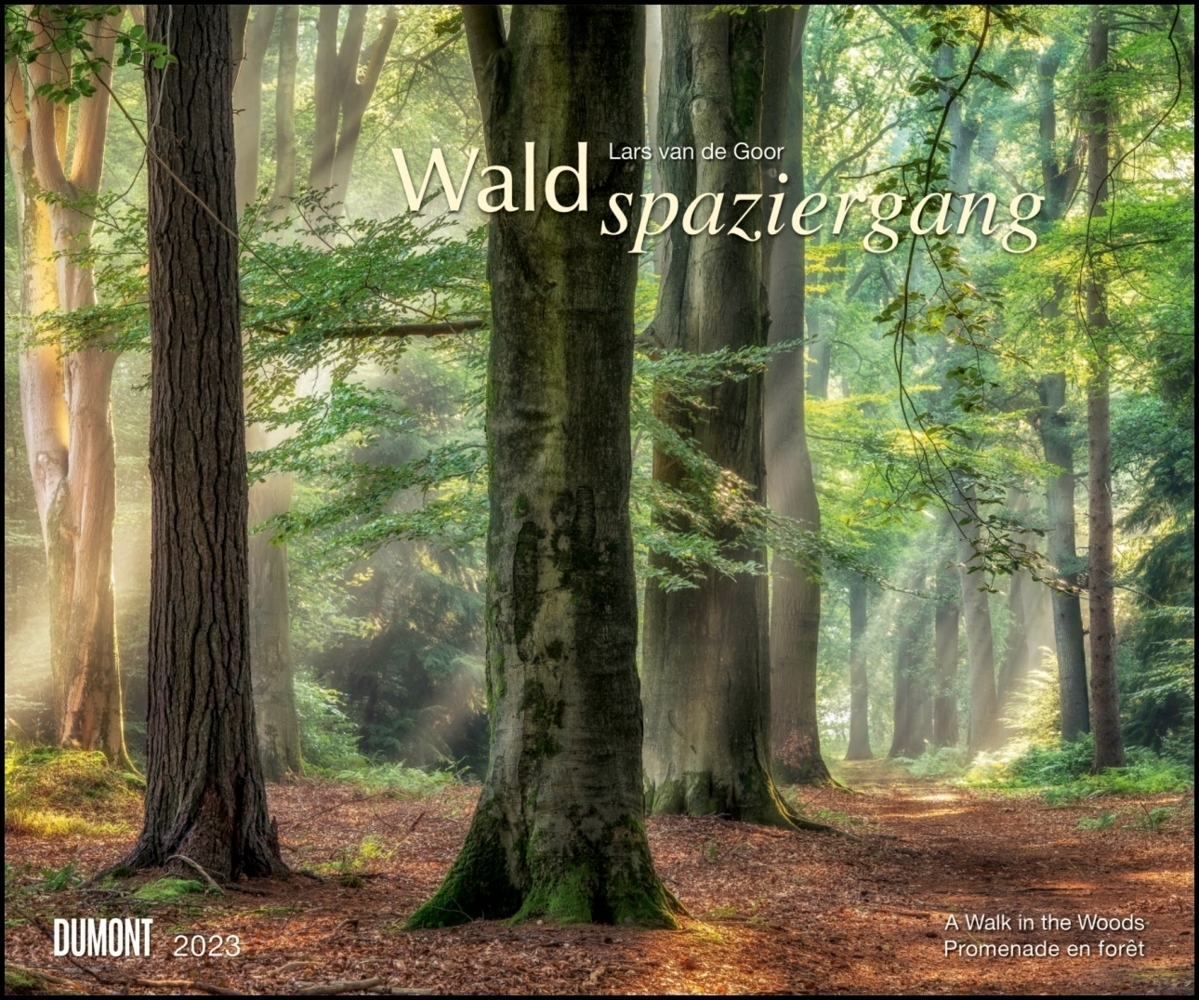 Waldspaziergang 2023 - Fotokunst-Kalender - Querformat 60 x 50 cm - Spiralbindung