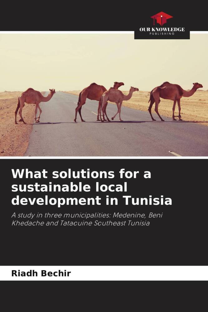 What solutions for a sustainable local development in Tunisia